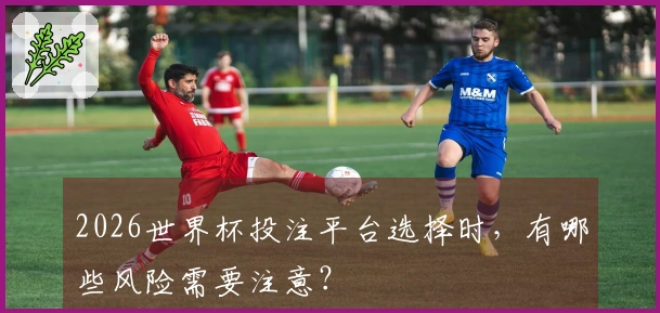 2026世界杯投注平台选择时，有哪些风险需要注意？