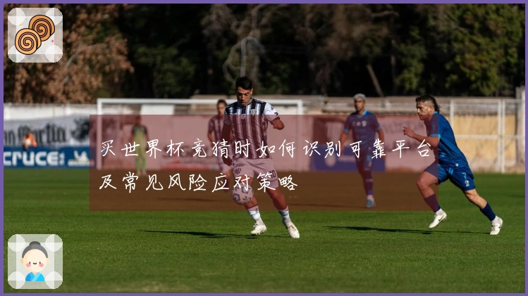 买世界杯竞猜时如何识别可靠平台及常见风险应对策略