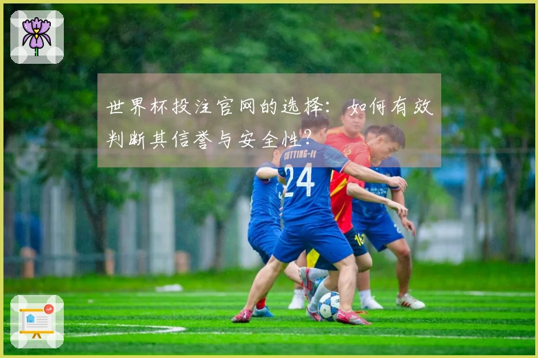 世界杯投注官网的选择：如何有效判断其信誉与安全性？